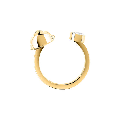 ANELLO GCDS
