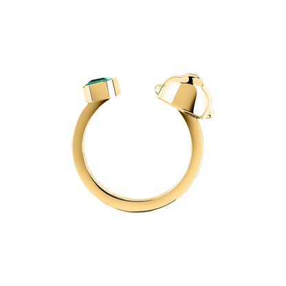 ANELLO GCDS