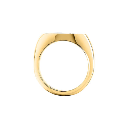 ANELLO GCDS