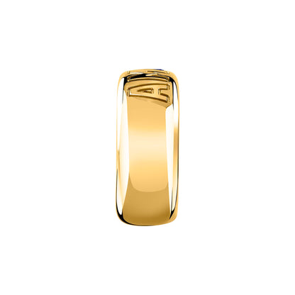 ANELLO GCDS
