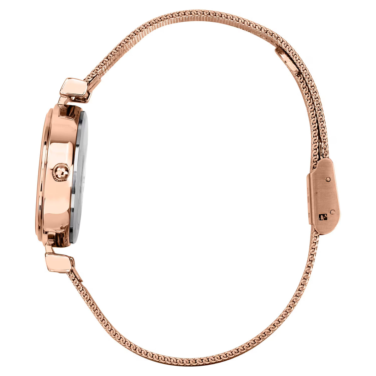 OROLOGIO B&G