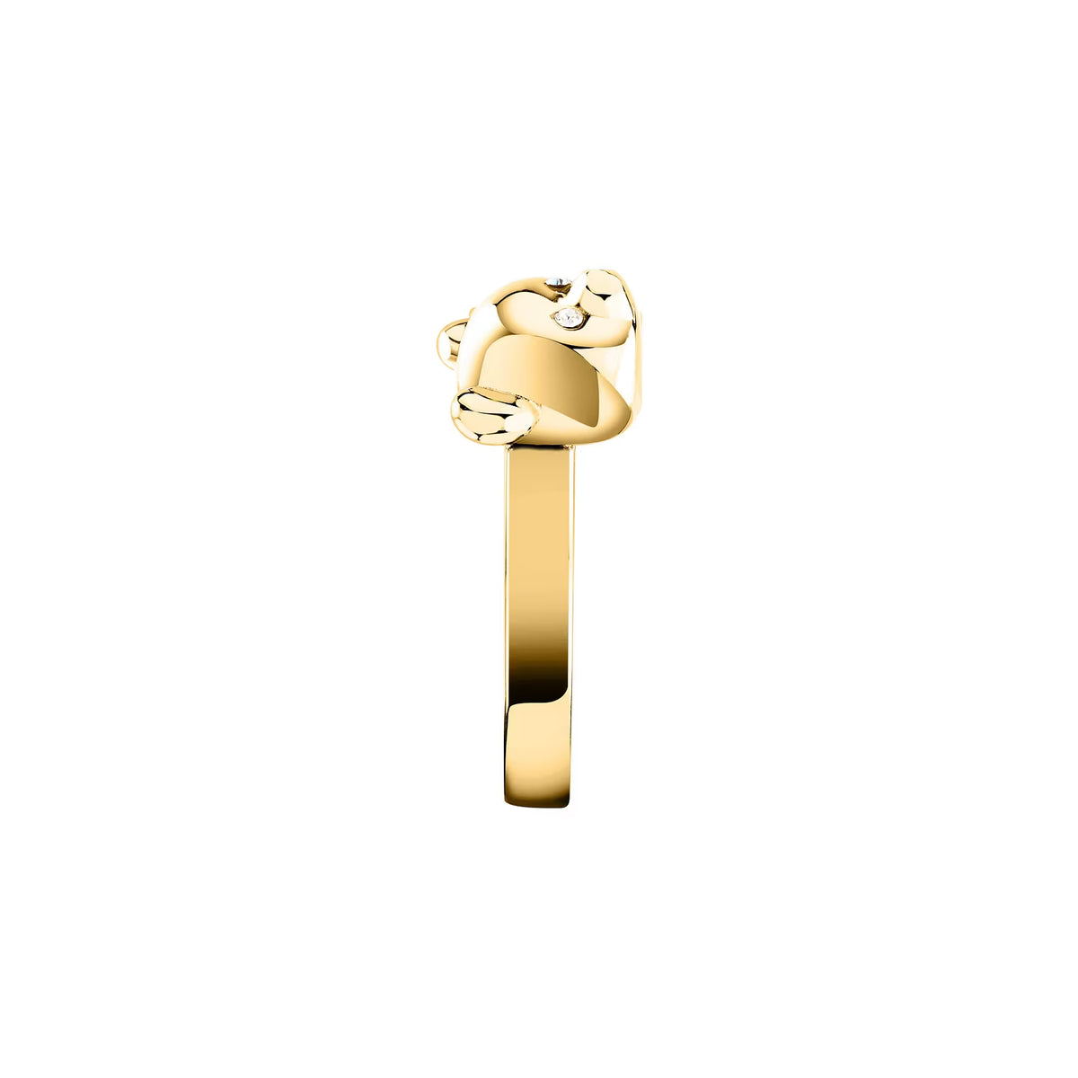 ANELLO GCDS