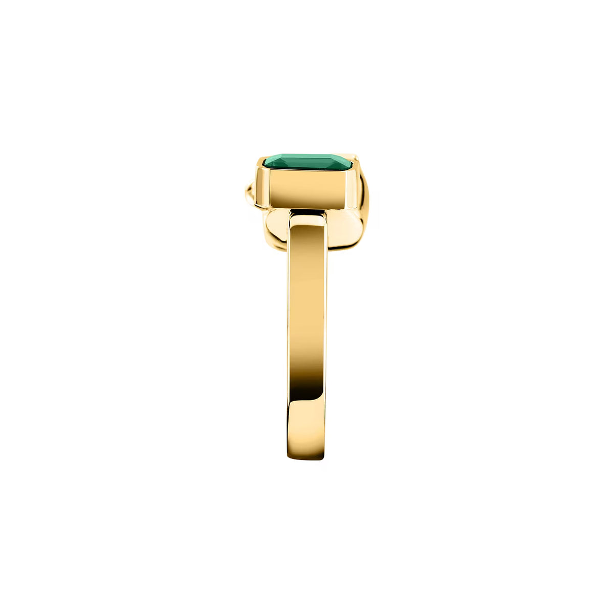 ANELLO GCDS