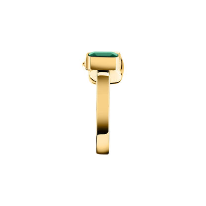 ANELLO GCDS