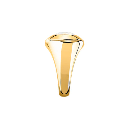 ANELLO GCDS