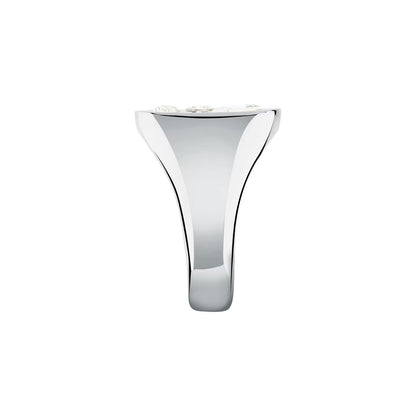 ANELLO GCDS